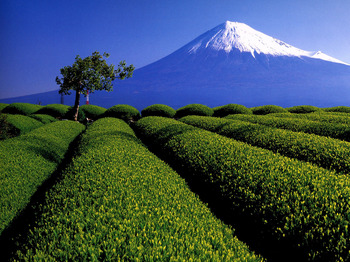 富士山~1.JPG